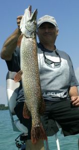 This pike was caught in the South Channel